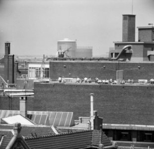Opdracht Parool Zonnebaders in Amsterdam Serie, Bestanddeelnr 915-2448