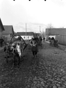 Novy Troky (Trakai) Straat met mannen met paard en wagens, Bestanddeelnr 252-1345