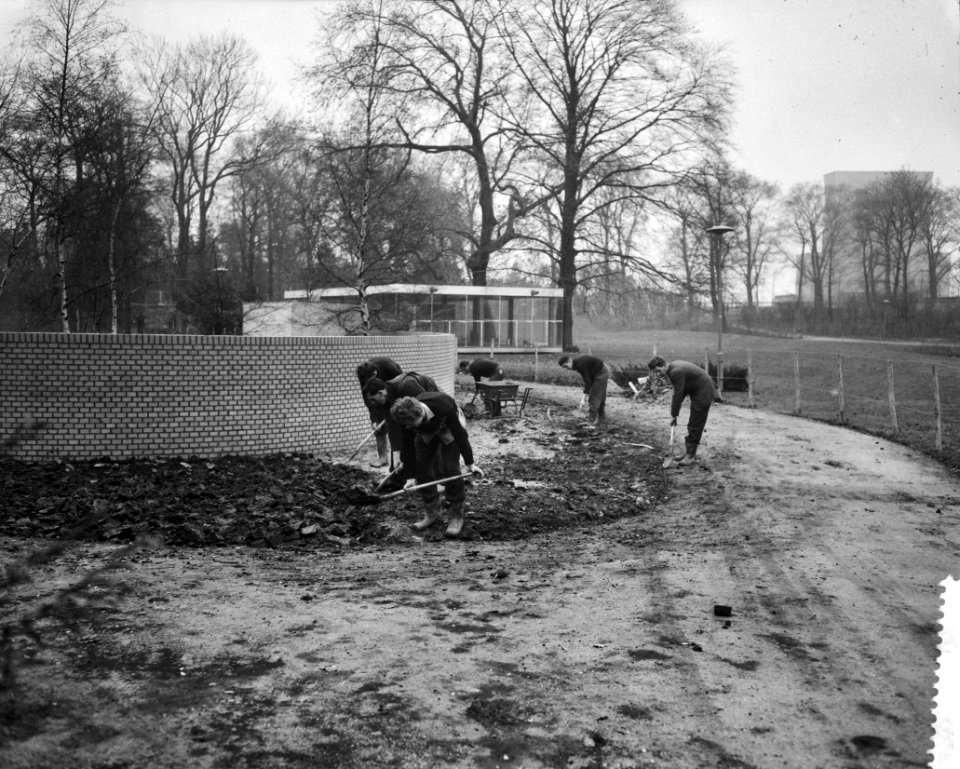 Opbouw Floriade te Rotterdam, arbeiders spitten de grond op de achtergrond de, Bestanddeelnr 910-8799