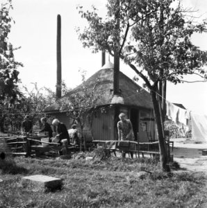 Opbouw in de Betuwe, Bestanddeelnr 900-8074.jpg (file redirect) 