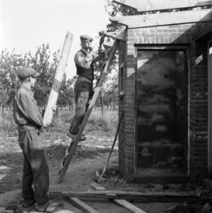 Opbouw in de Betuwe, Bestanddeelnr 900-8037