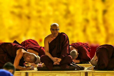 Respect sangha theravada monks photo