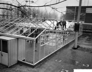 Opbouw internationale tuinbouwtentoonstelling Floriade te Rotterdam, wereldprime, Bestanddeelnr 910-9147