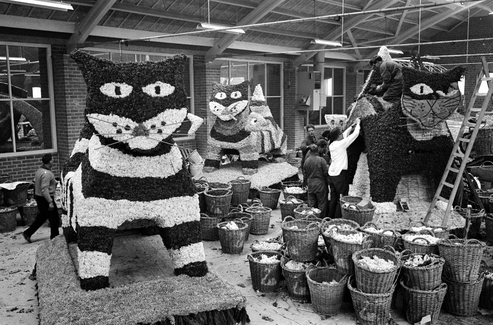 Opbouw bloemencorso in veilinggebouw van Lisse, Bestanddeelnr 913-9097