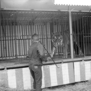 Opbouw circus Krone in Amsterdam, Bestanddeelnr 910-4475