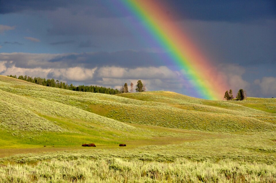 Colorful colourful countryside