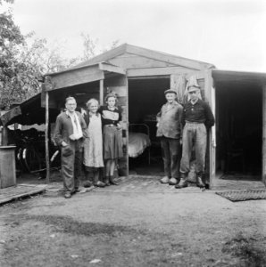 Opbouw in de Betuwe, Bestanddeelnr 900-8110
