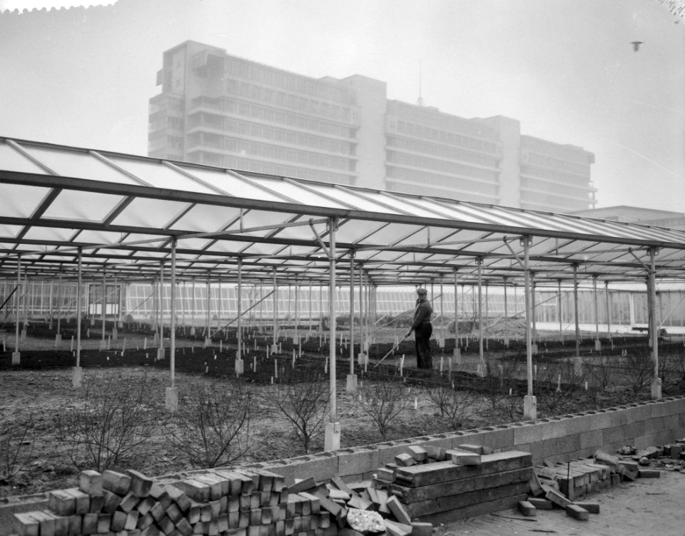 Opbouw internationale tuinbouwtentoonstelling Floriade te Rotterdam, open kas va, Bestanddeelnr 910-9148