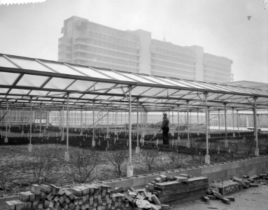 Opbouw internationale tuinbouwtentoonstelling Floriade te Rotterdam, open kas va, Bestanddeelnr 910-9148