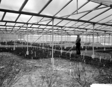 Opbouw internationale tuinbouwtentoonstelling Floriade te Rotterdam, open kas va, Bestanddeelnr 910-9149