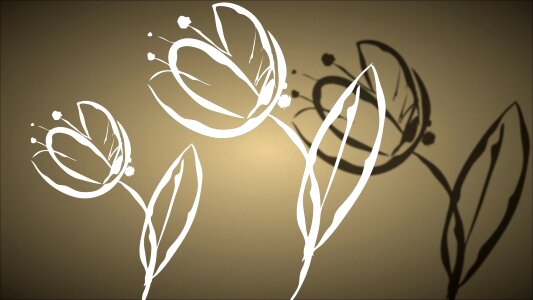 Blossom bloom shadow