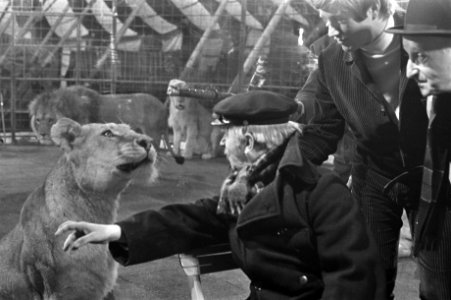 Opa tussen de leeuwen, opnamen in circus Boltini voor Ja Zuster Nee Zuster. Op, Bestanddeelnr 921-3196
