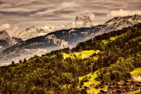 Landscape hdr forest photo