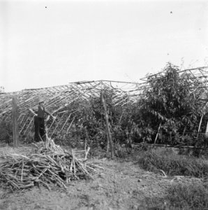 Opbouw in de Betuwe, Bestanddeelnr 900-8062