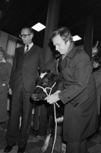 Opdracht aktie lekker dier, vertegenwoordiger van aktie Lekker dier en Klei, Bestanddeelnr 931-2145