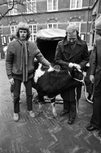 Opdracht aktie lekker dier, vertegenwoordiger van aktie Lekker dier en Klei, Bestanddeelnr 931-2144