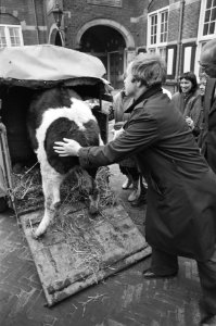 Opdracht aktie lekker dier, vertegenwoordiger van aktie Lekker dier en Klei, Bestanddeelnr 931-2142