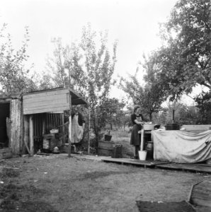 Opbouw in de Betuwe, Bestanddeelnr 900-8109