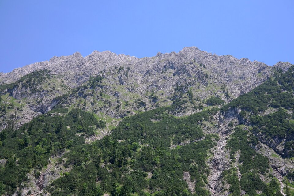 Alpine rough horn ball horn