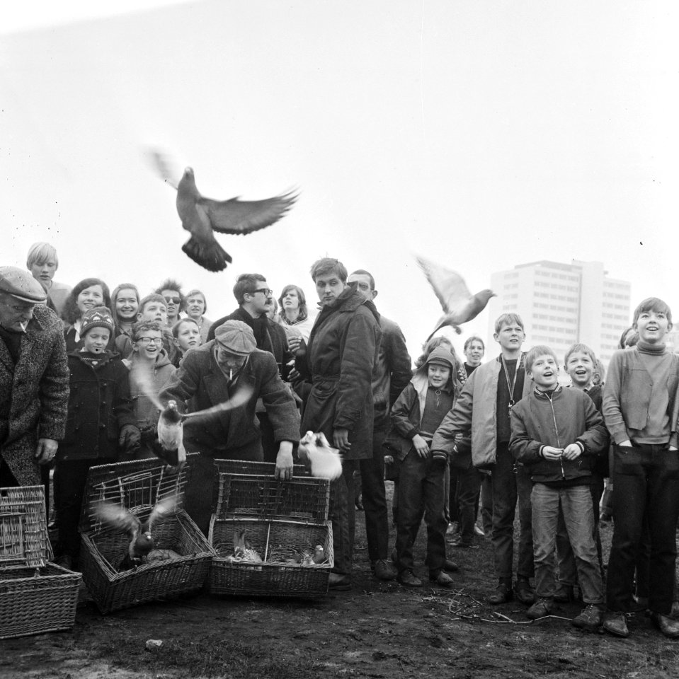 Opdracht Gemeente Amsterdam, Kunstwerk The Long Hum wordt geplaatst in Gijsbre, Bestanddeelnr 922-1791