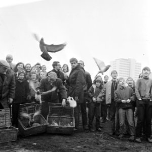 Opdracht Gemeente Amsterdam, Kunstwerk The Long Hum wordt geplaatst in Gijsbre, Bestanddeelnr 922-1791