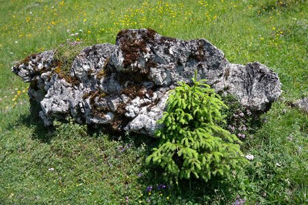 Alpine landscape idyll