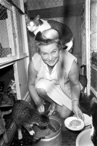 Opdracht Gelderlander mevrouw van Walde met katten, Bestanddeelnr 921-7768