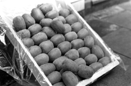 Opdracht Gelderlander Kiwi-fruit uit Nieuw-Zeeland in kist, Bestanddeelnr 922-7324