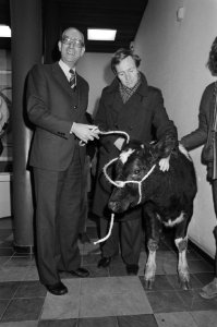 Opdracht aktie lekker dier, vertegenwoordiger van aktie Lekker dier en Klei, Bestanddeelnr 931-2146