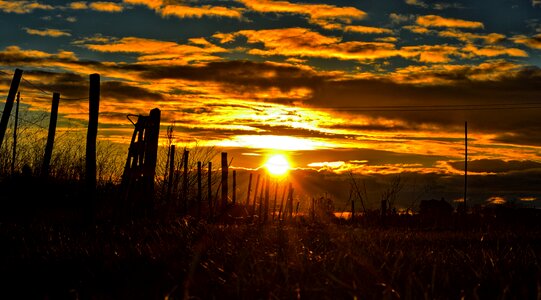 Sun landscape field