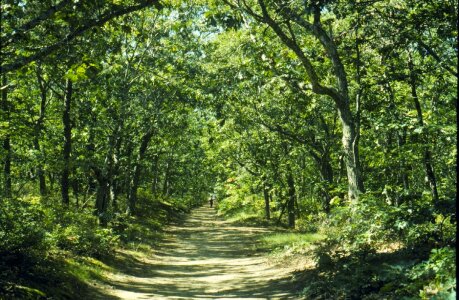 Cape cod national seashore massachusetts usa