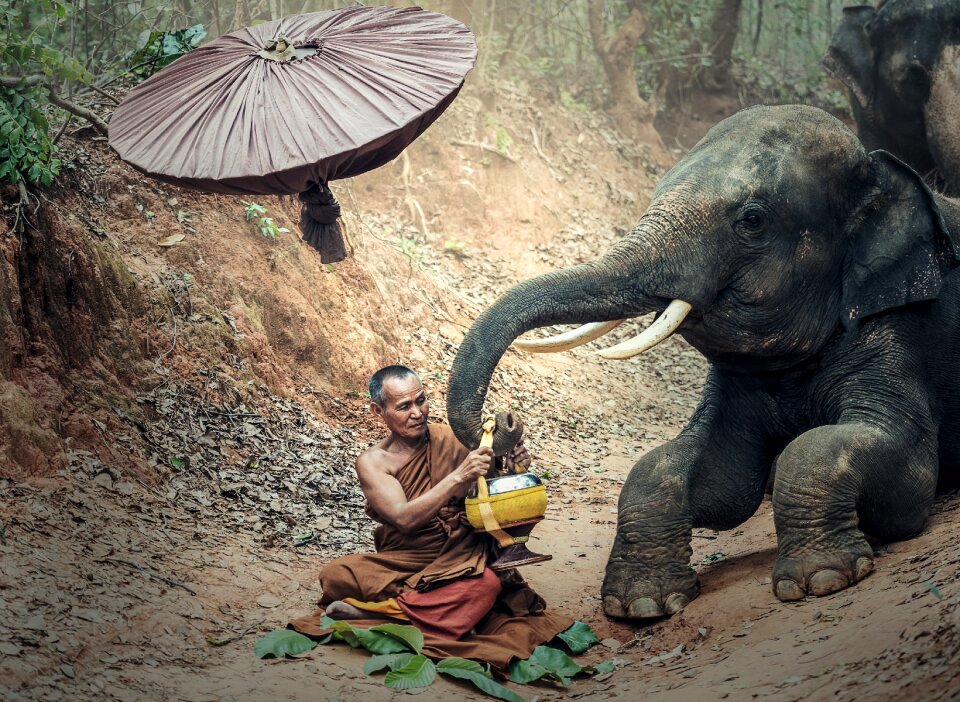 Buddhism cambodia indonesian