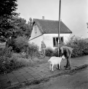 Opdracht Hervormd Nederland in Ruygoord, Bestanddeelnr 926-5700