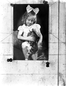 Opdracht Kunststudio Richard Prins Hendrikkade 144, Bestanddeelnr 902-7658
