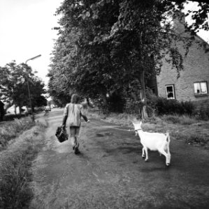 Opdracht Hervormd Nederland in Ruygoord, Bestanddeelnr 926-5699