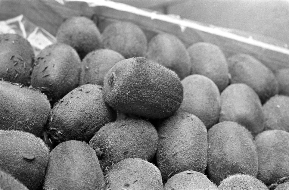 Opdracht Gelderlander Kiwi-fruit uit Nieuw-Zeeland in kist, Bestanddeelnr 922-7326