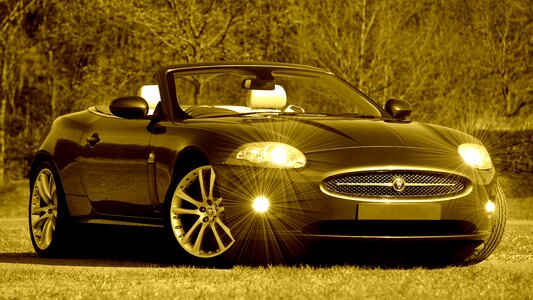 Jaguar speed brown car