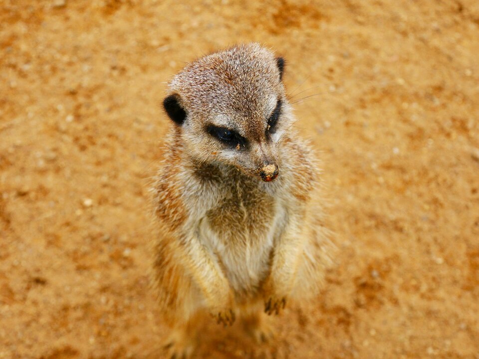 Nature zoo tiergarten