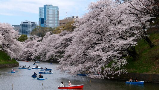 River spring tokyo