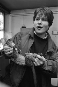 Opdracht Gelderlander dierenarts Peter Klaus, Bestanddeelnr 934-2305