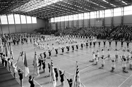Opening Sporthal in Haarlem door prins Claus , overzicht massale turndemonstrati, Bestanddeelnr 920-0044