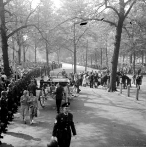 Opening Staten-Generaal in de Ridderzaal De prinsessen zijn uitgestapt De paar, Bestanddeelnr 915-5340