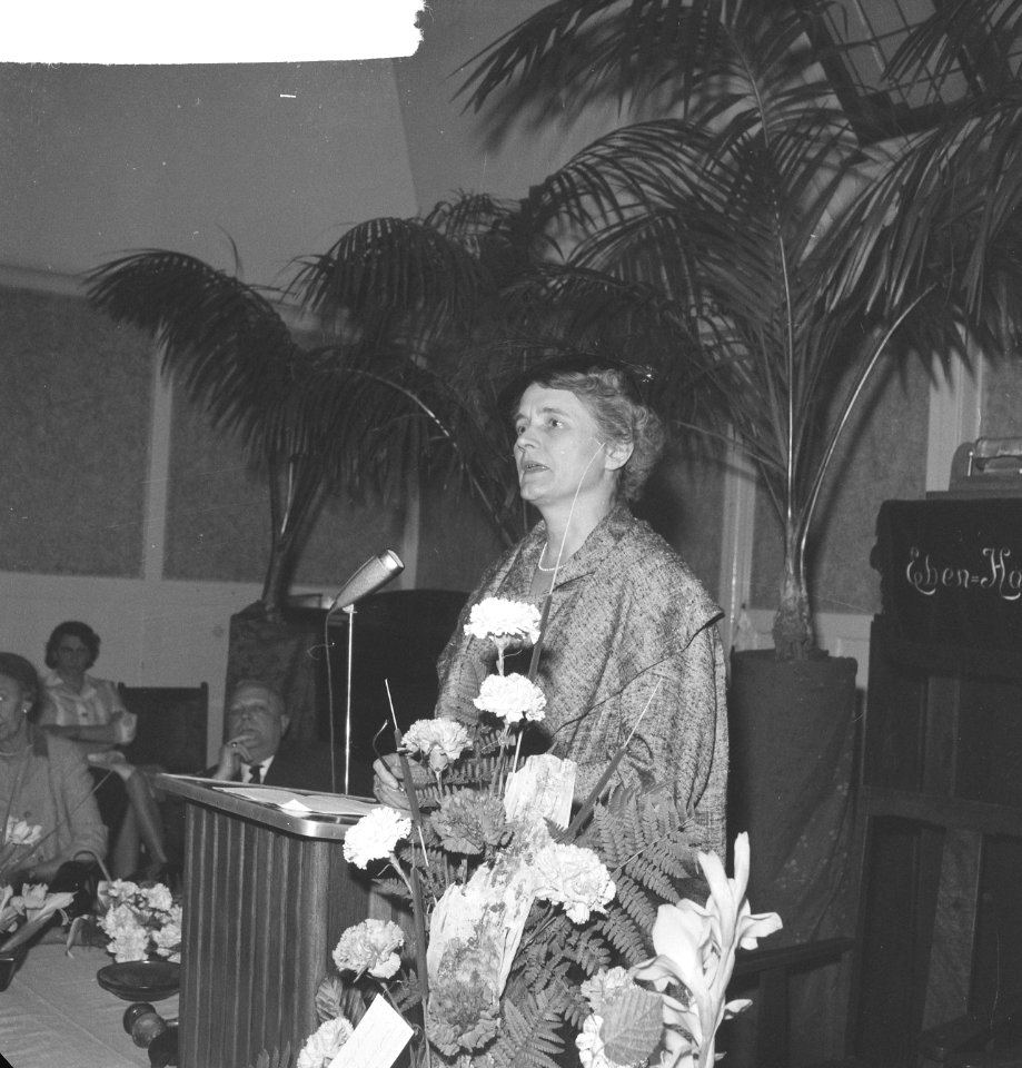 Opening tehuis voor zwakzinnigen Minister Klompé spreekt de openingsrede, Bestanddeelnr 912-6060