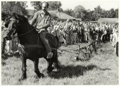 Opening van het tuinbouwproject van de Rudolf Steinerschool aan de Engelandlaan 2 met een ouderwetse ploeg. NL-HlmNHA 54020691