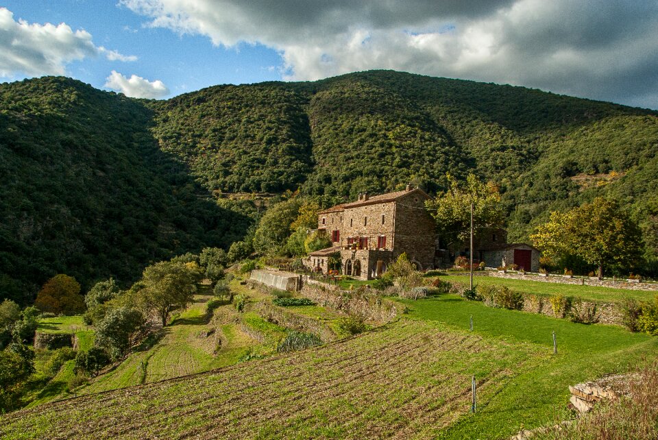 Farm agriculture rustic building
