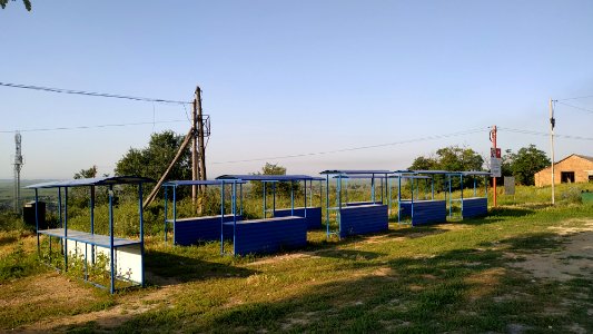 Open-air market in Sinyavskoe