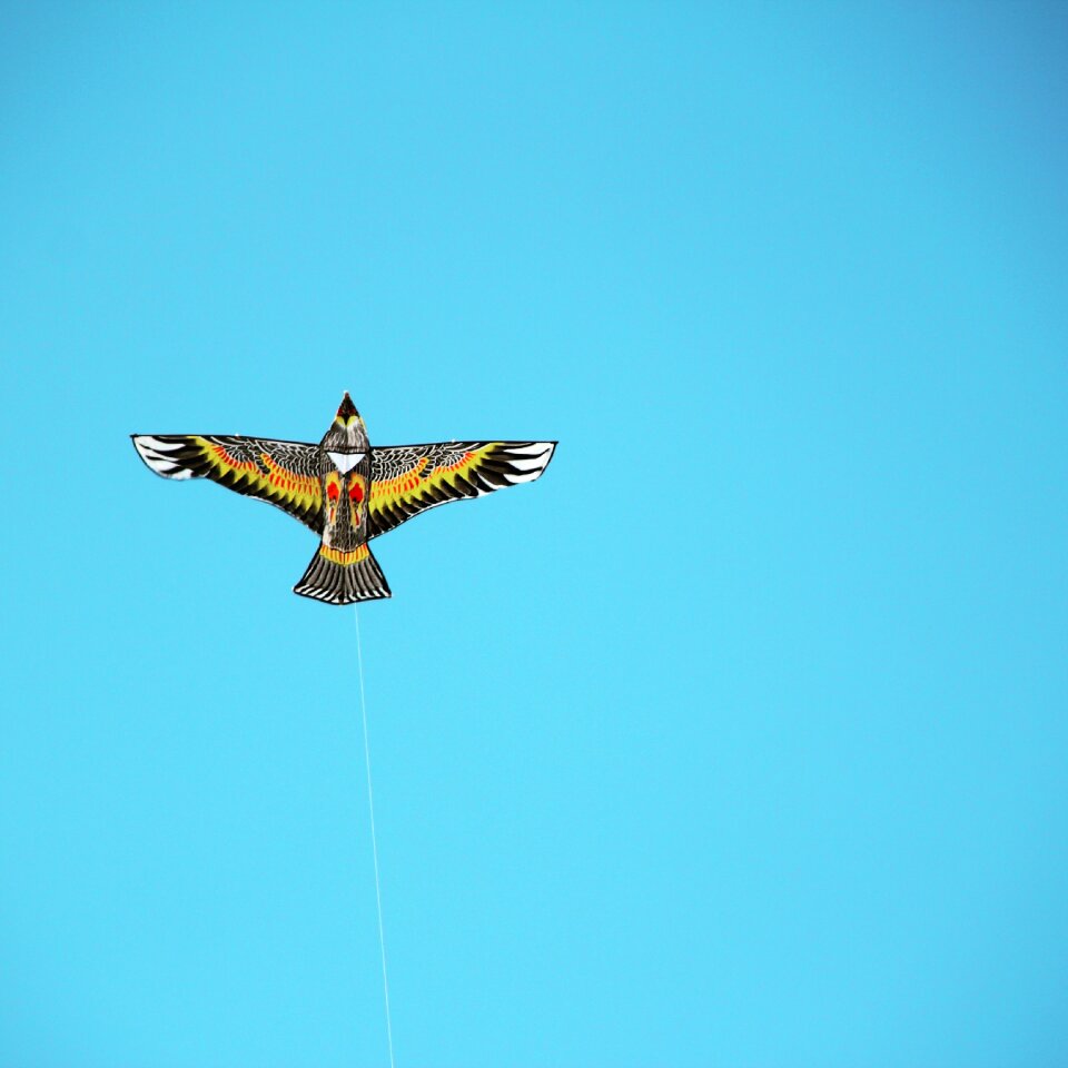 Kite sky white space