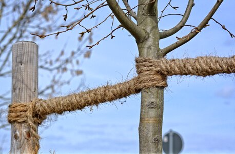 Twisted ropes strand knitting photo