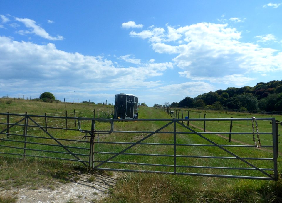 Open Land at The Vale, Ovingdean (August 2014) (4)