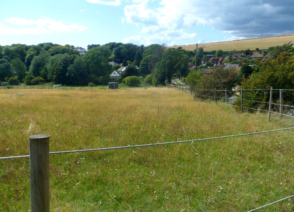 Open Land at The Vale, Ovingdean (August 2014) (7)